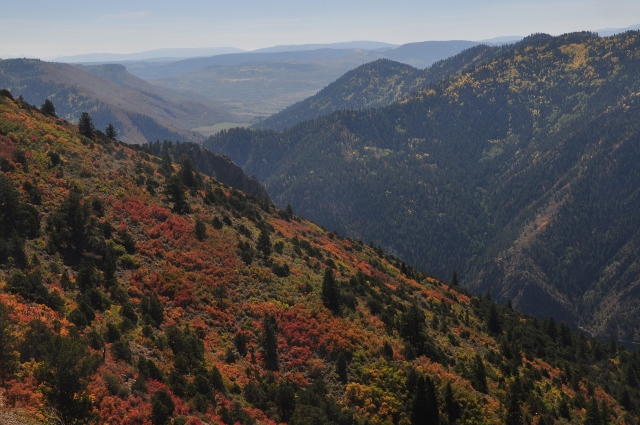 View from Hermit's Rest on Highway 92